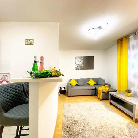 Centre Ville Au Calme , Parking Prive Interieur Car Et Bike Саверн Екстериор снимка